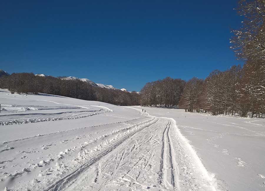 Piste di sci di fondo a Macchiarvana vicino al B&B Opi La Sosta, tra neve, boschi e montagne del Parco Nazionale d’Abruzzo.