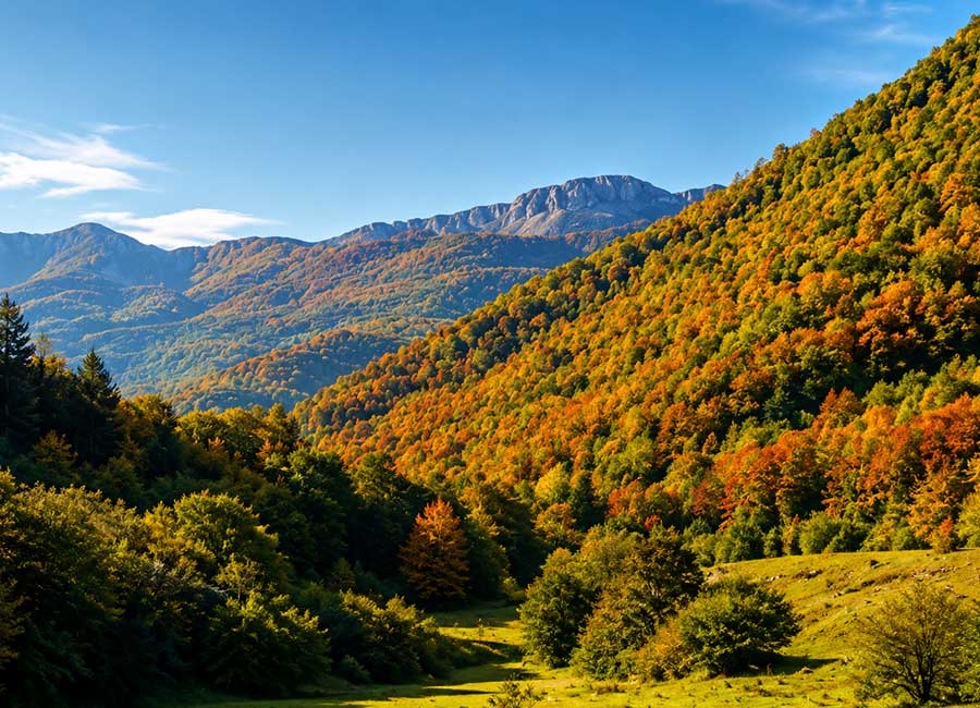 Panorama della Val Fondillo nel Parco Nazionale d’Abruzzo vicino al B&B Opi La Sosta, tra boschi, montagne e natura.