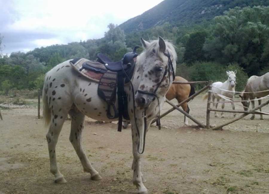 Cosa fare a Opi, escursioni a cavallo in Val Fondillo tra natura, montagne e paesaggi del Parco Nazionale d’Abruzzo