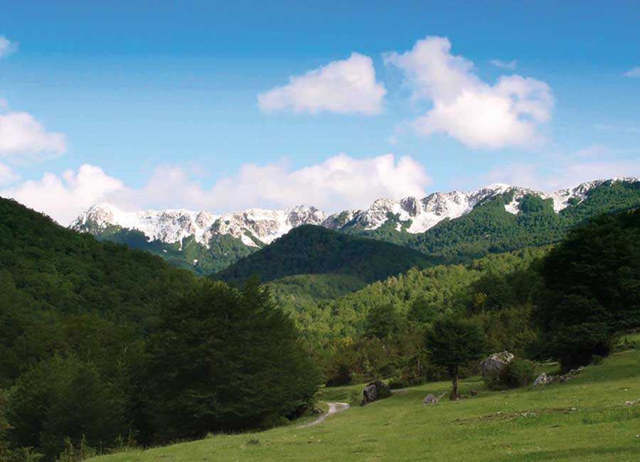 Cosa fare a Opi, paesaggio della Val Fondillo nel Parco Nazionale d’Abruzzo con boschi, prati e montagne.