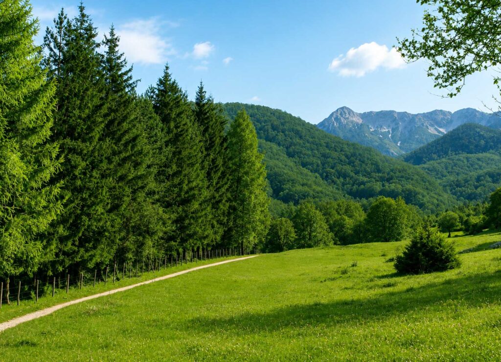 Escursioni nel Parco Nazionale d’Abruzzo da Opi Escursioni nel Parco Nazionale d’Abruzzo partendo da Opi
