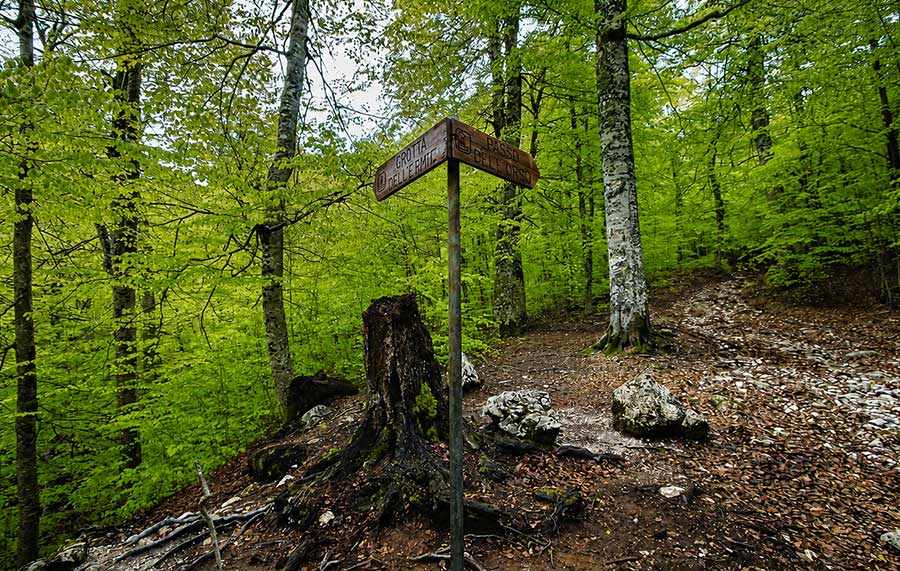 Val Fondillo vicino Opi Val Fondillo, escursione nella natura vicino Opi